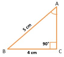 TRIGONOMETRIC RATIOS OF AN ACUTE ANGLE EXAMPLE