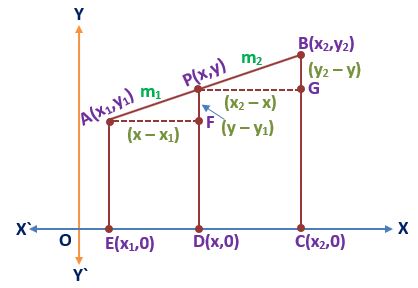 SECTION FORMULA INTERNAL DIVISION