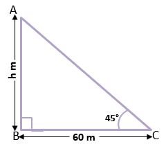 EXAMPLES OF HEIGHT AND DISTANCE 