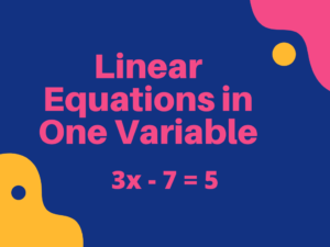 Linear Equations in One Variable Class 8th | MIT Academys | Algebra
