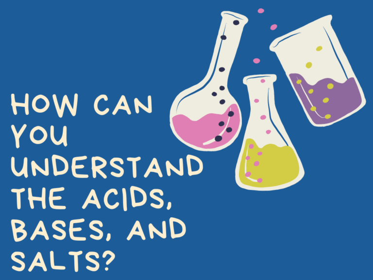 How can you Understand the Acids, Bases, and Salts?